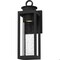 Quoizel Donegal Outdoor Wall Lantern DGL8405MBK - alternate 1